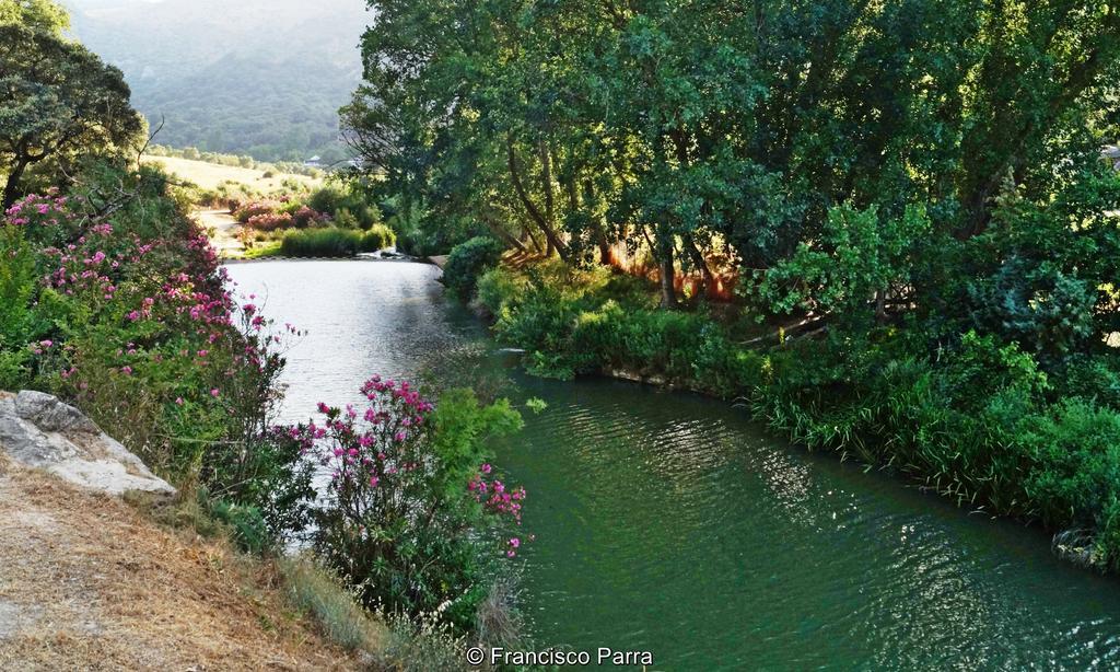Casa Rural El Nacimiento Benaojan Luaran gambar