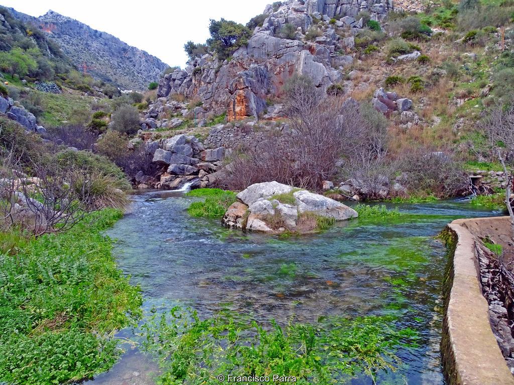 Casa Rural El Nacimiento Benaojan Luaran gambar