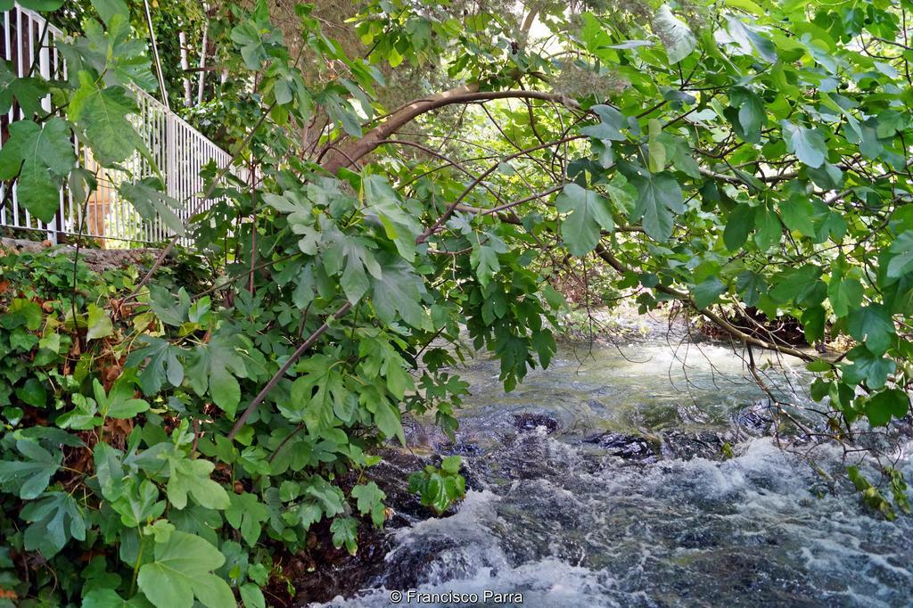 Casa Rural El Nacimiento Benaojan Luaran gambar
